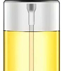 Spray Borrifador De Azeite Galheteiro Porta Vinagre Oleo Cor Prata