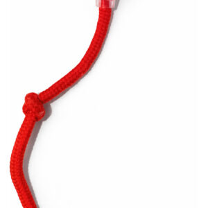 Bolinha Automática Gato E Cachorro Inteligente Led Usb-c Vermelho